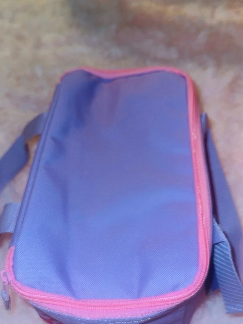 Trader Joe's Pink & Red Mini Insulated Cosmetic/Lunch Bag